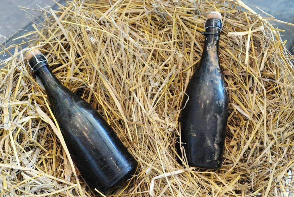 The Top 10 Most Expensive Champagne Bottles in the World – Emperor